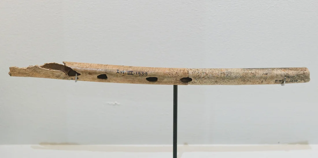 Deux fragments de flûtes en os aurignaciennes provenant de la grotte d'Isturitz, présentés horizontalement sur fond clair.