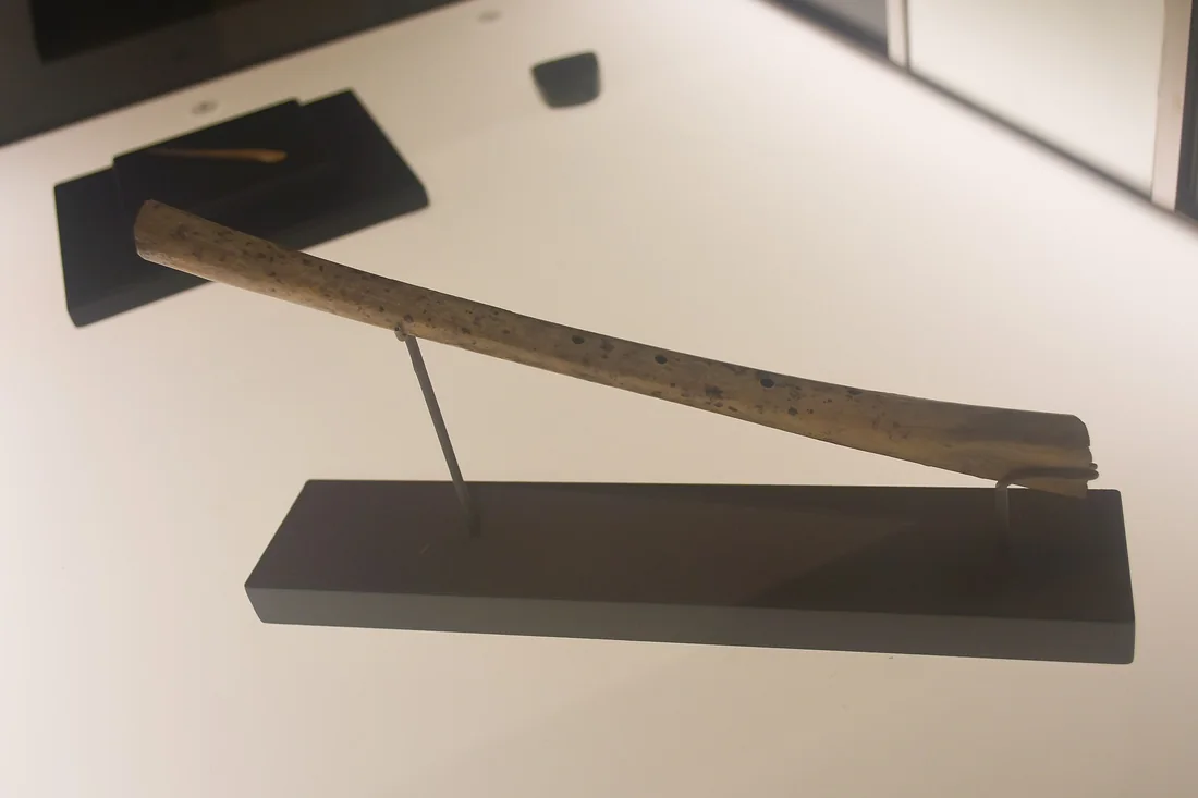 Fl&ucirc;te n&eacute;olithique en os expos&eacute;e en vitrine au mus&eacute;e arch&eacute;ologique d'Alicante, os court perc&eacute; de trous align&eacute;s.